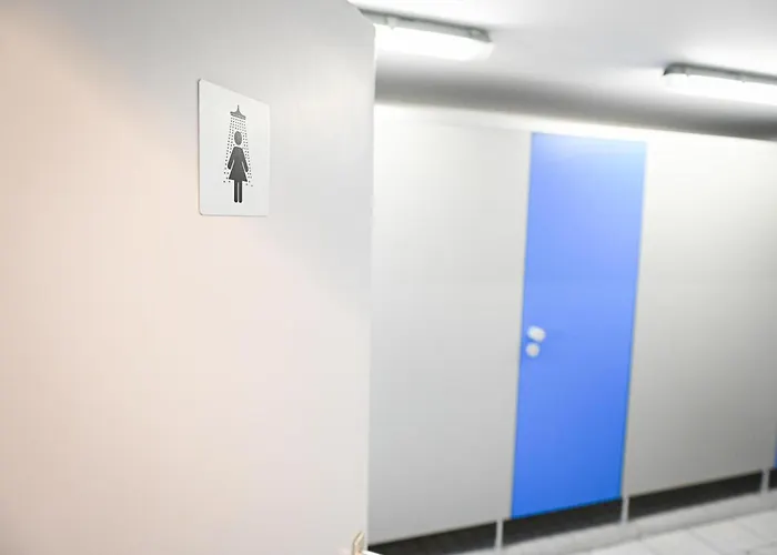 Sleep Space 1 - Tiny Spot Eider *