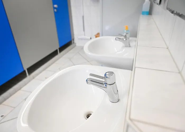 Sleep Space 1 - Tiny Spot Eider *