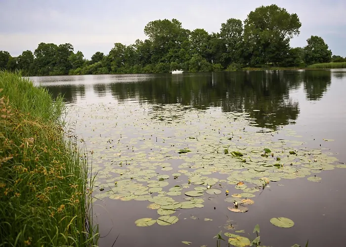 Vakantiehuis Sleep Space 1 - Tiny Spot Eider